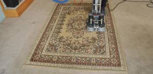 Area rug being cleaned with professional equipment, showcasing The One Carpet Cleaning's expertise in area rug maintenance and restoration.
