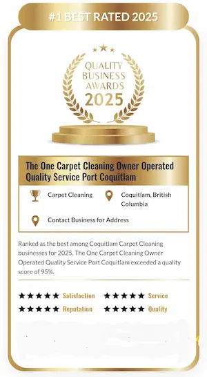 Quality Business award winner 2025 The One Carpet Cleaning