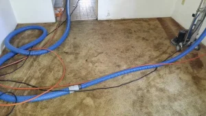 Brown Carpet before professional carpet restoration cleaning. The one Carpet Cleaning