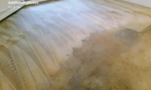German Brown Carpet before professional carpet restoration cleaning. The one Carpet Cleaning