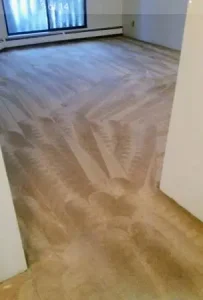 German Brown Carpet after professional carpet restoration cleaning. The one Carpet Cleaning