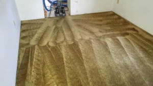 Brown Carpet after professional carpet restoration cleaning. The one Carpet Cleaning