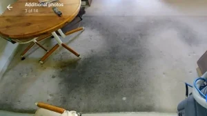 Russian grey Carpet before professional carpet restoration cleaning. The one Carpet Cleaning