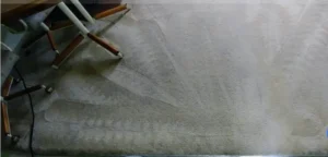 Russian grey Carpet after professional carpet restoration cleaning. The one Carpet Cleaning