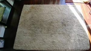Grey rug with nasty urine stains before professional carpet restoration cleaning. The one Carpet Cleaning