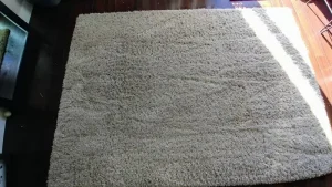 Grey rug with nasty urine stains after professional carpet restoration cleaning. The one Carpet Cleaning