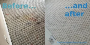 Grey Carpet before/after picture professional carpet restoration cleaning. The one Carpet Cleaning
